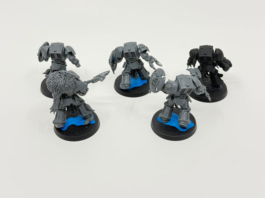 Wolf Guard Terminators