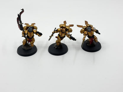 Sanguinary Guard