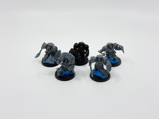 Wolf Guard Terminators