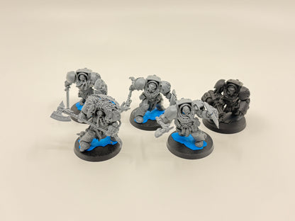 Wolf Guard Terminators